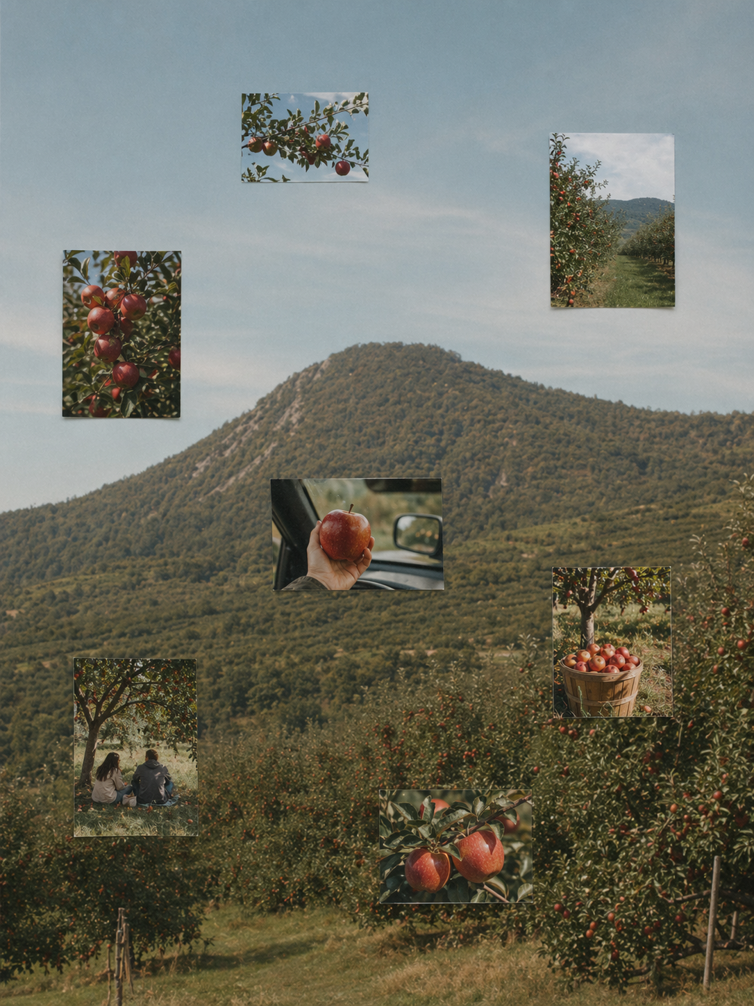 A quiet photographic collage landscape with a large mountain or orchard hillside as the main background, with several small floating snapshot rectangles scattered across the sky and slope. Each inset snapshot revolves around {object}: fruit trees, orchard paths, baskets of fruit, a hand holding fruit inside a car, friends resting in an orchard, and close-up branches. Soft sky, nostalgic documentary-photo collage feeling, travel-memory mood, simple cutout placement, vertical composition, 3:4 aspect ratio, no text, no letters, no numbers, no watermark, no logo.