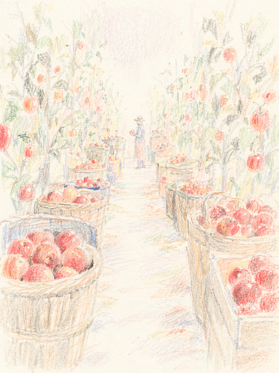 An airy colored-pencil and soft pastel drawing with delicate hand-drawn marks, high-key paper texture, washed-out whites, loose observational sketch quality, subtle perspective and lots of negative space. A dreamlike corridor of orchard rows or a narrow market aisle filled with baskets and crates of {object}, with a tiny distant figure pausing in the center. Gentle vanishing-point composition, fragile unfinished feeling, vertical composition, 3:4 aspect ratio, no text, no letters, no numbers, no watermark, no logo, no signage.